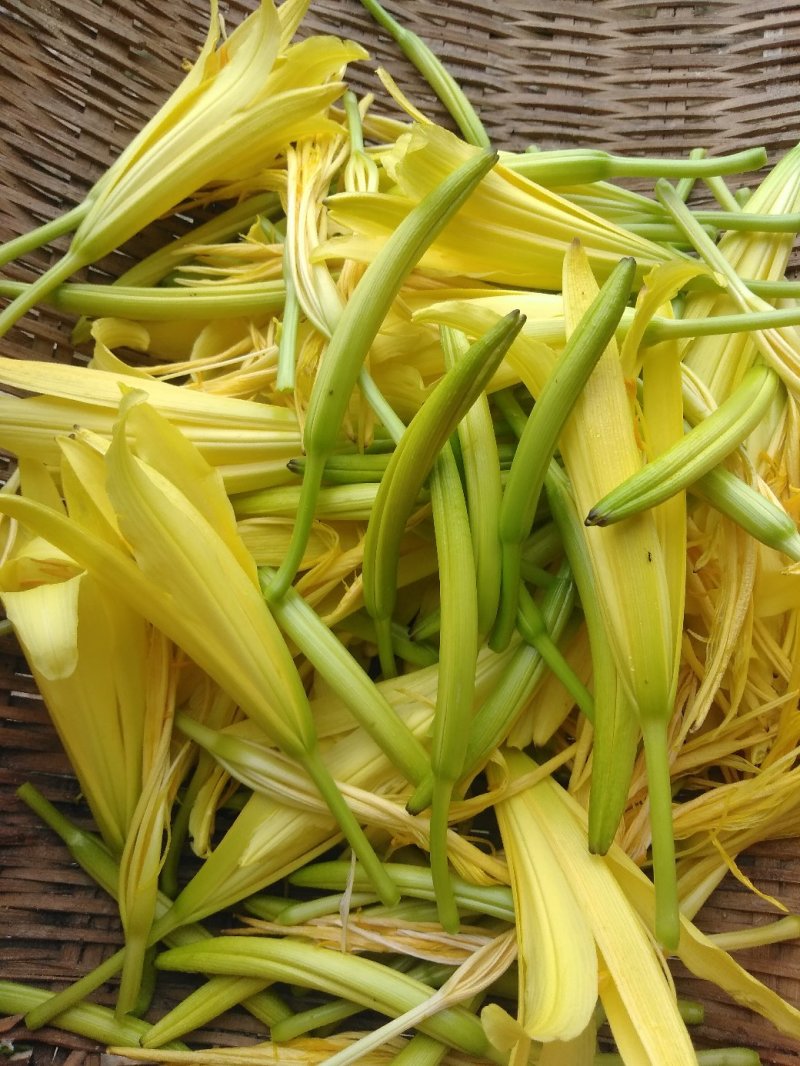 【一件代发】黄花菜秦岭农家黄花干菜煲汤炖肉炒菜凉拌3两一袋