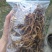 【一件代发】黄花菜秦岭农家黄花干菜煲汤炖肉炒菜凉拌3两一袋