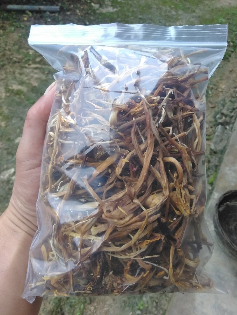 【一件代发】黄花菜秦岭农家黄花干菜煲汤炖肉炒菜凉拌3两一袋