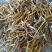 【一件代发】黄花菜秦岭农家黄花干菜煲汤炖肉炒菜凉拌3两一袋