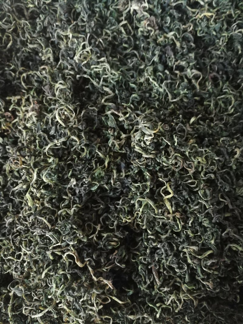 8.8元包邮蒲公英叶50g/瓶婆婆丁叶