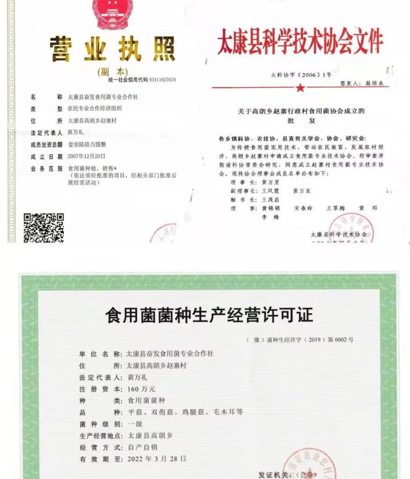 平菇栽培种，姬菇栽培种预售