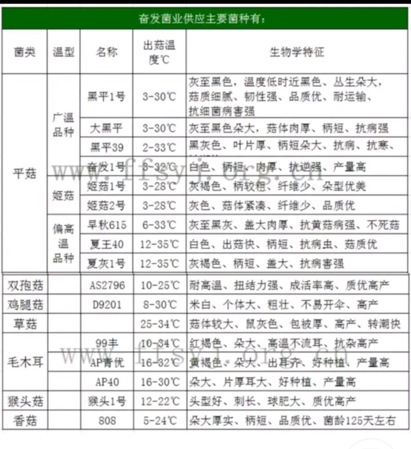 平菇栽培种，姬菇栽培种预售