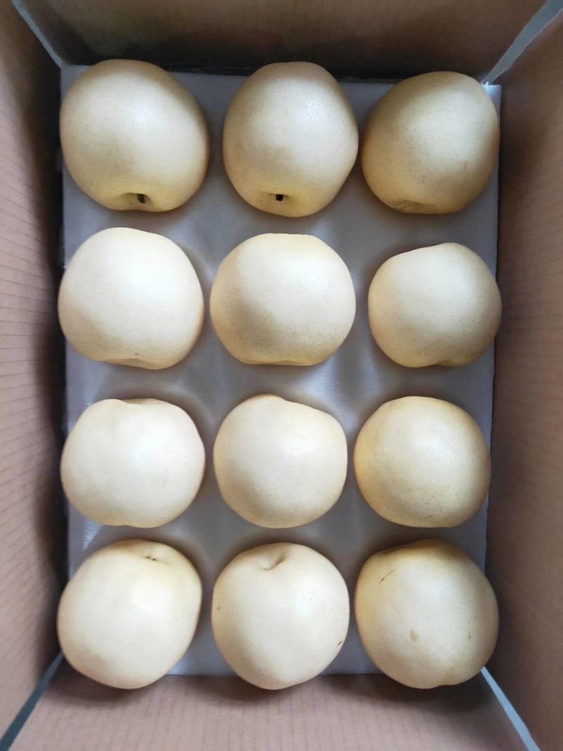 大量供应皇冠梨