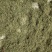 含羞草阴枝（大货，产地加工直销）