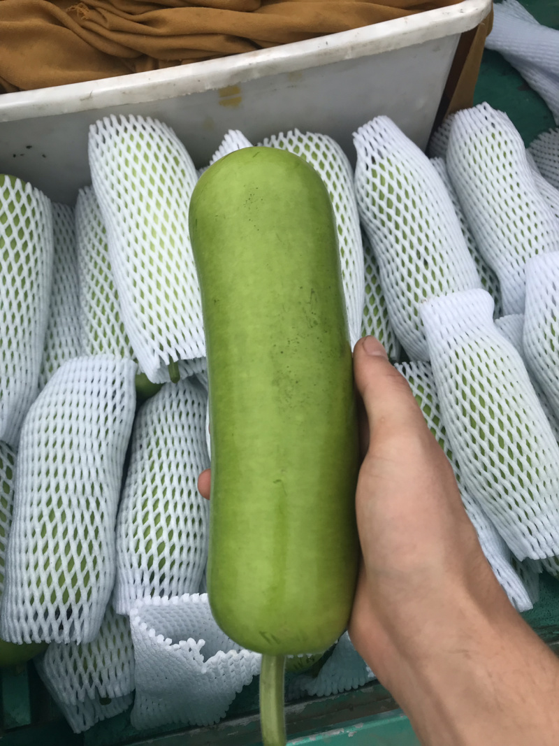 瓢瓜、短瓢、弧子、保证质量、商朝电商食堂都可以、