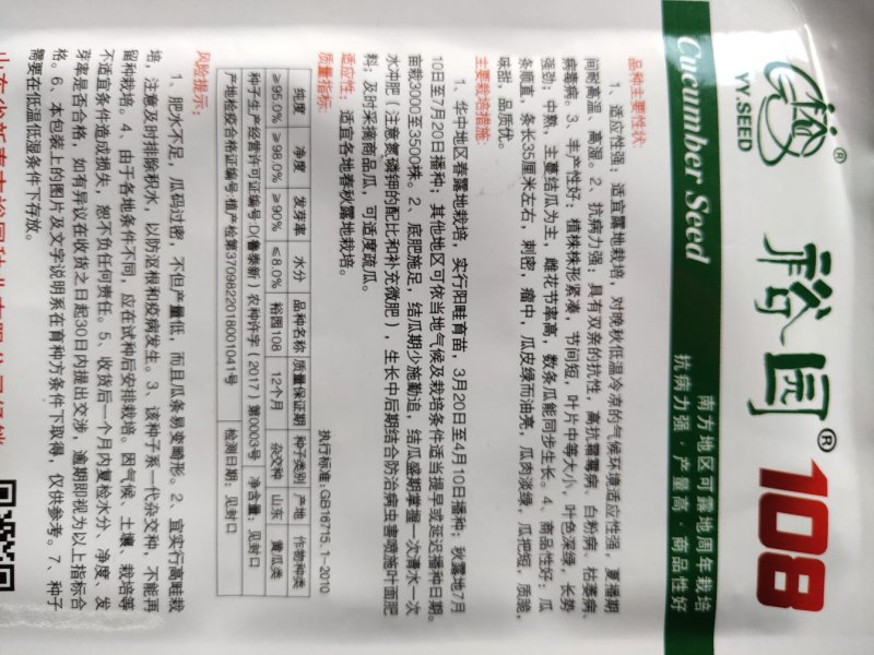 大田基地露天丰产青瓜杂交裕园108绿皮绿肉黄瓜种子高产