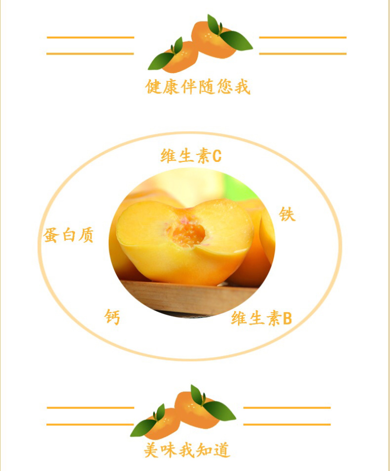 顺丰包邮五斤蒙阴水蜜桃黄蟠桃一件代发团购货源