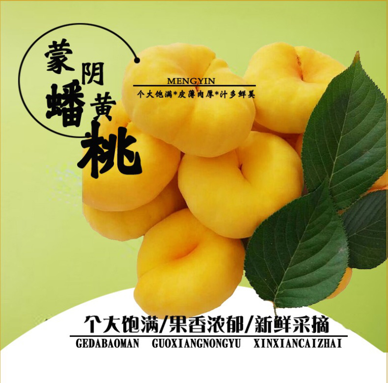 顺丰包邮五斤蒙阴水蜜桃黄蟠桃一件代发团购货源