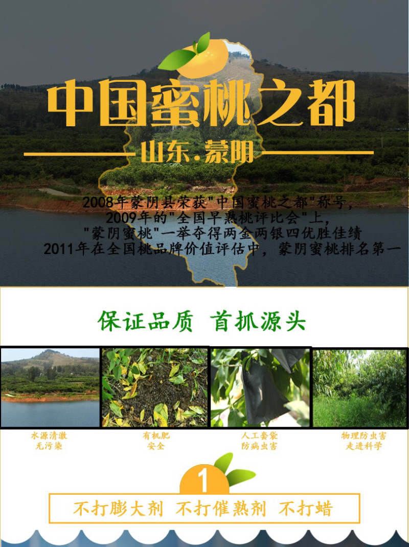 顺丰包邮五斤蒙阴水蜜桃黄蟠桃一件代发团购货源