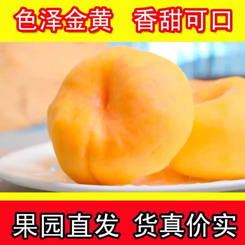 顺丰包邮五斤蒙阴水蜜桃黄蟠桃一件代发团购货源