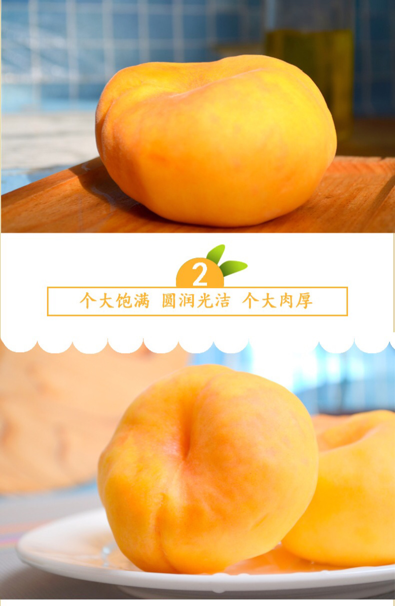顺丰包邮五斤蒙阴水蜜桃黄蟠桃一件代发团购货源