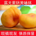 顺丰包邮五斤蒙阴水蜜桃黄蟠桃一件代发团购货源