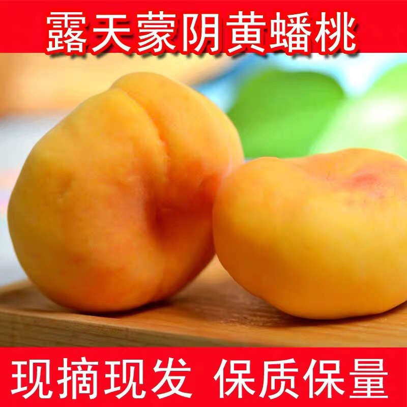顺丰包邮五斤蒙阴水蜜桃黄蟠桃一件代发团购货源