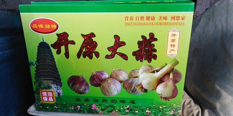 开原精品紫皮蒜蒜种大量上市质量保证一手货源全国发货