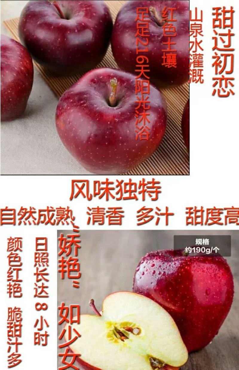 礼县花牛苹果现以60～65#规格