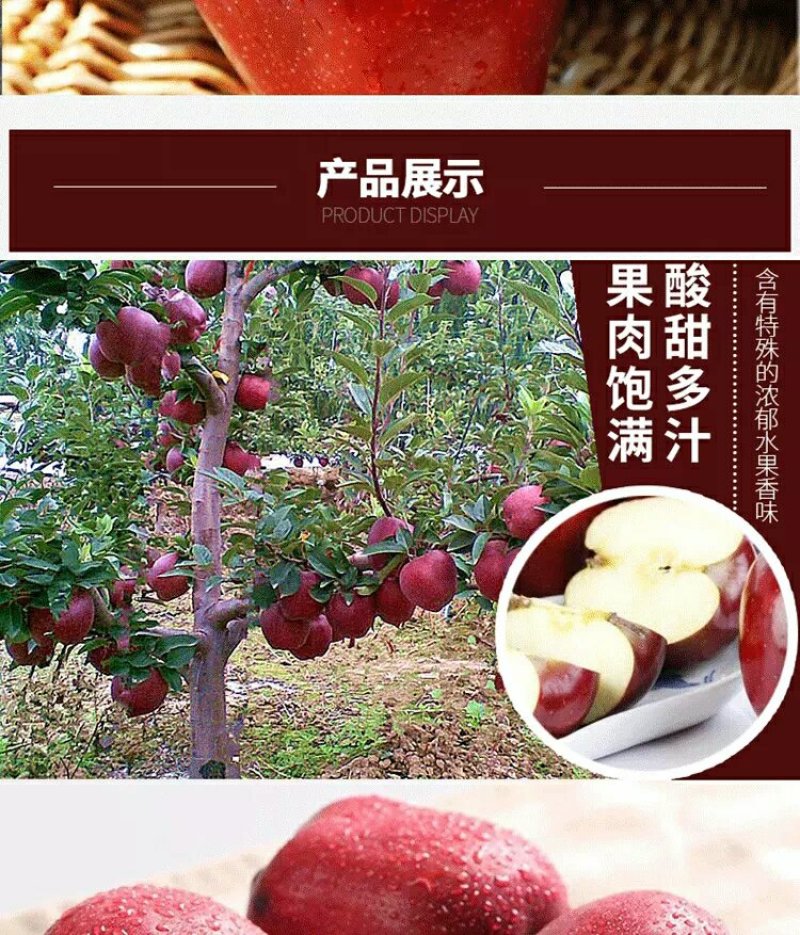 礼县花牛苹果现以60～65#规格