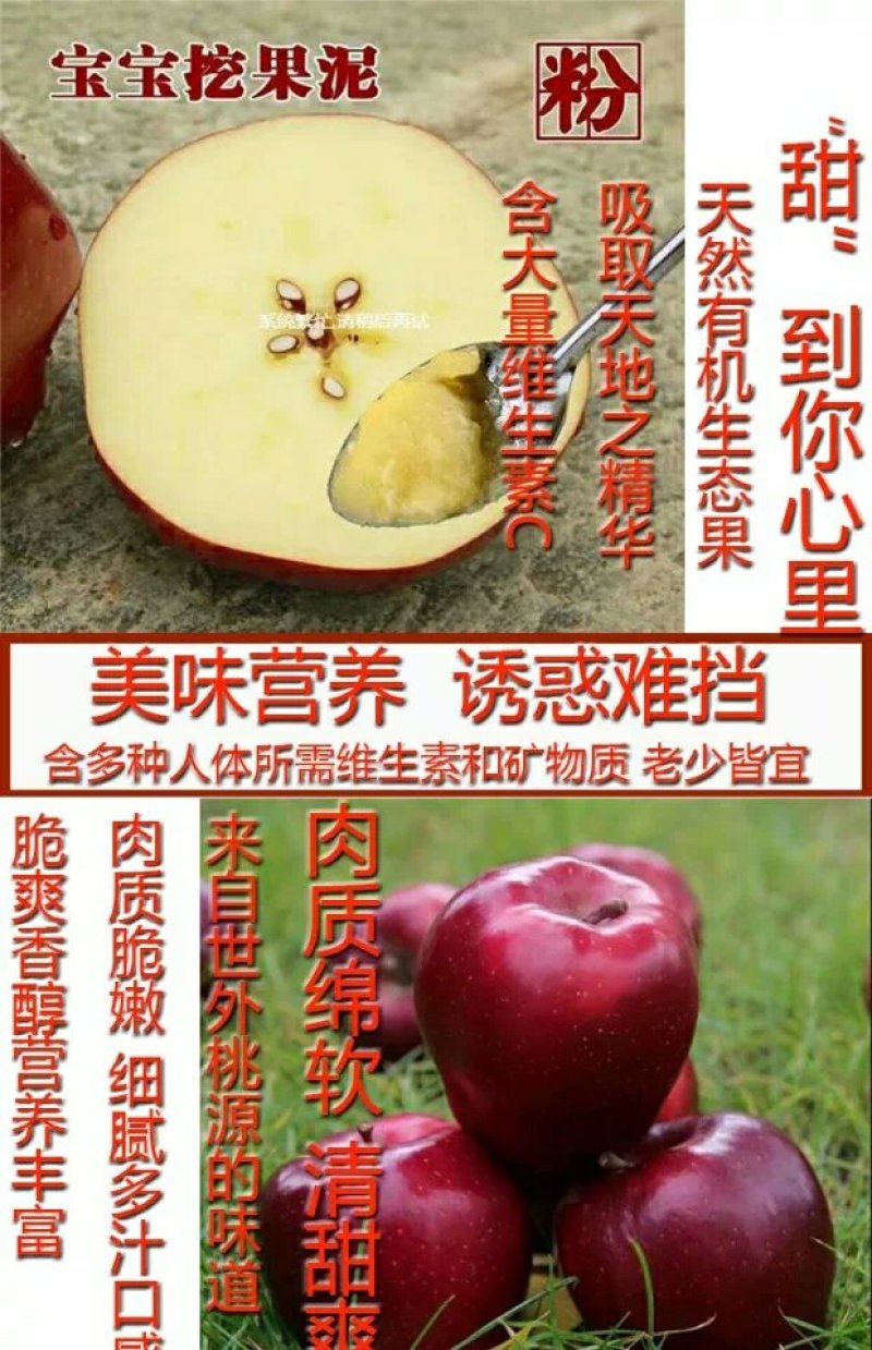 礼县花牛苹果现以60～65#规格