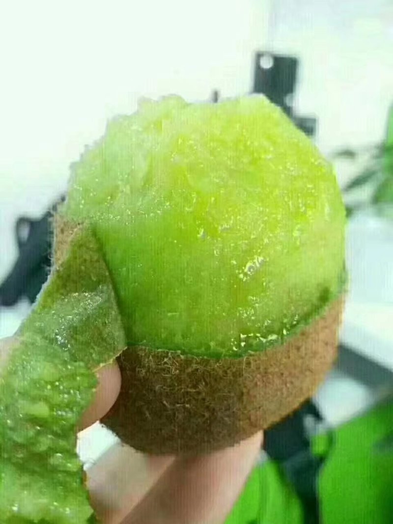 【有好货】正宗陕西眉县猕猴桃徐香猕猴桃一件代发合作私聊