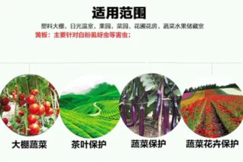 黄板双面诱虫板蓝板双面诱虫板