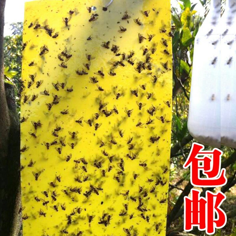 黄板双面诱虫板蓝板双面诱虫板