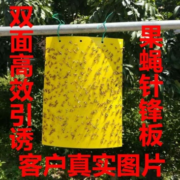 黄板双面诱虫板蓝板双面诱虫板