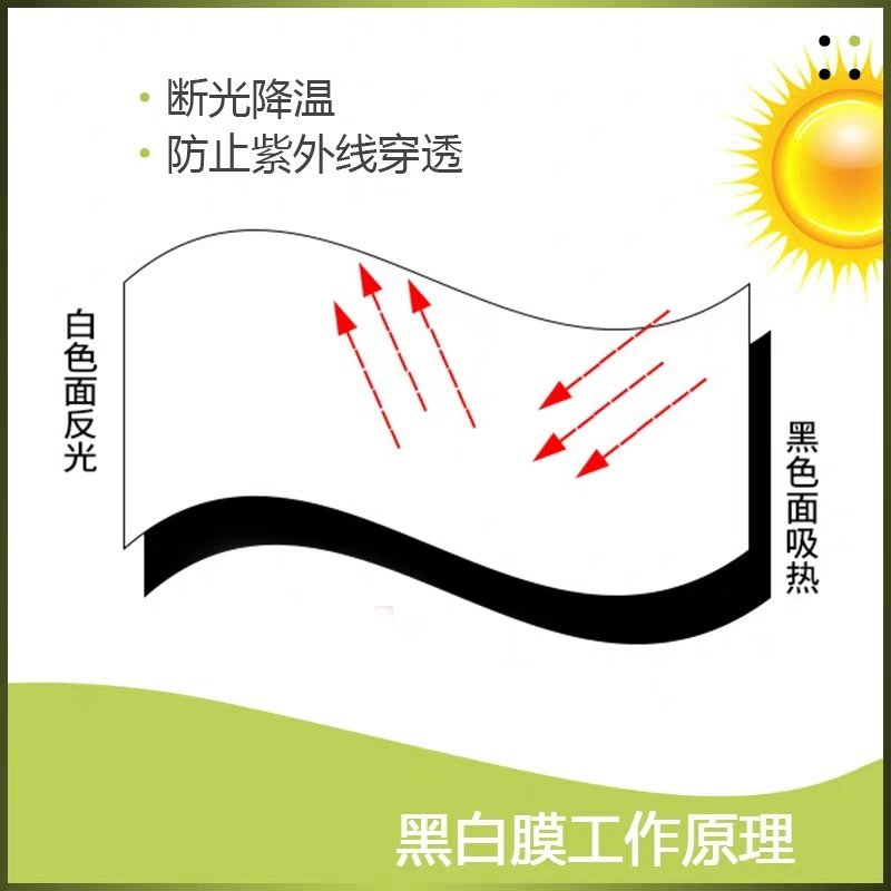 大棚膜进口黑白膜白色面反光黑色面吸热抗老化