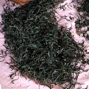 梅子箐生态古树普洱茶口感回味甘甜