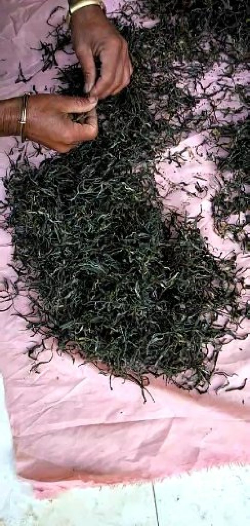 梅子箐生态古树普洱茶口感回味甘甜