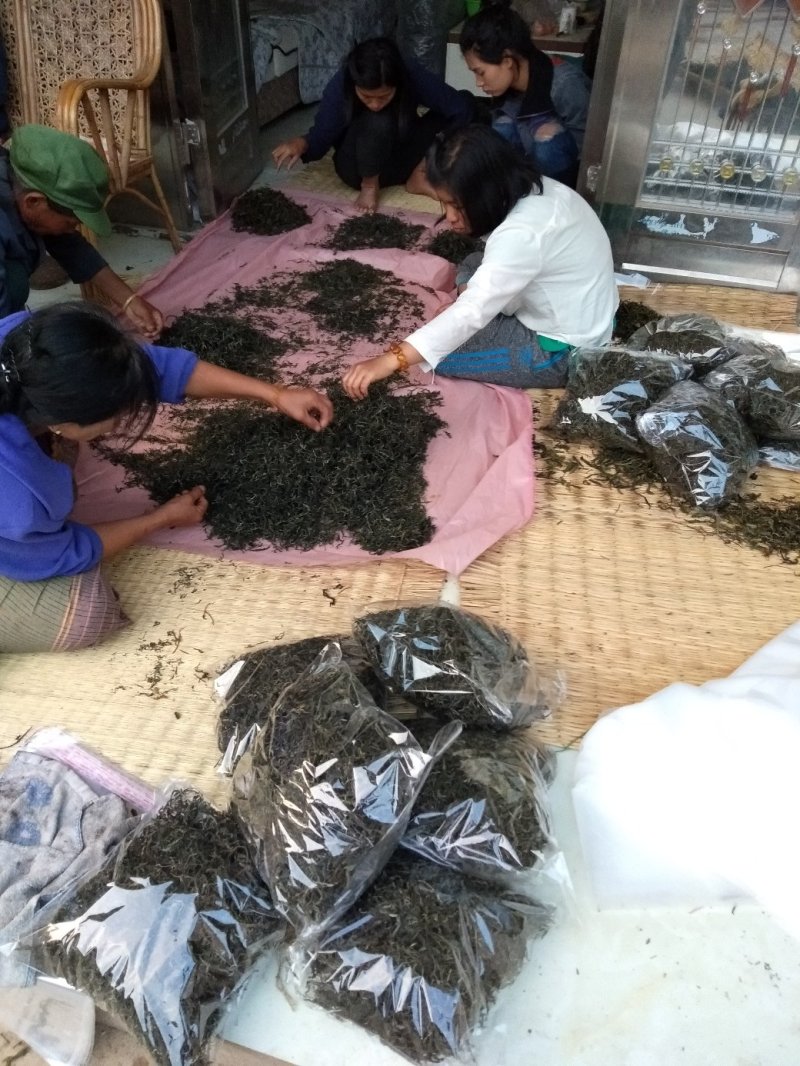 梅子箐生态古树普洱茶口感回味甘甜