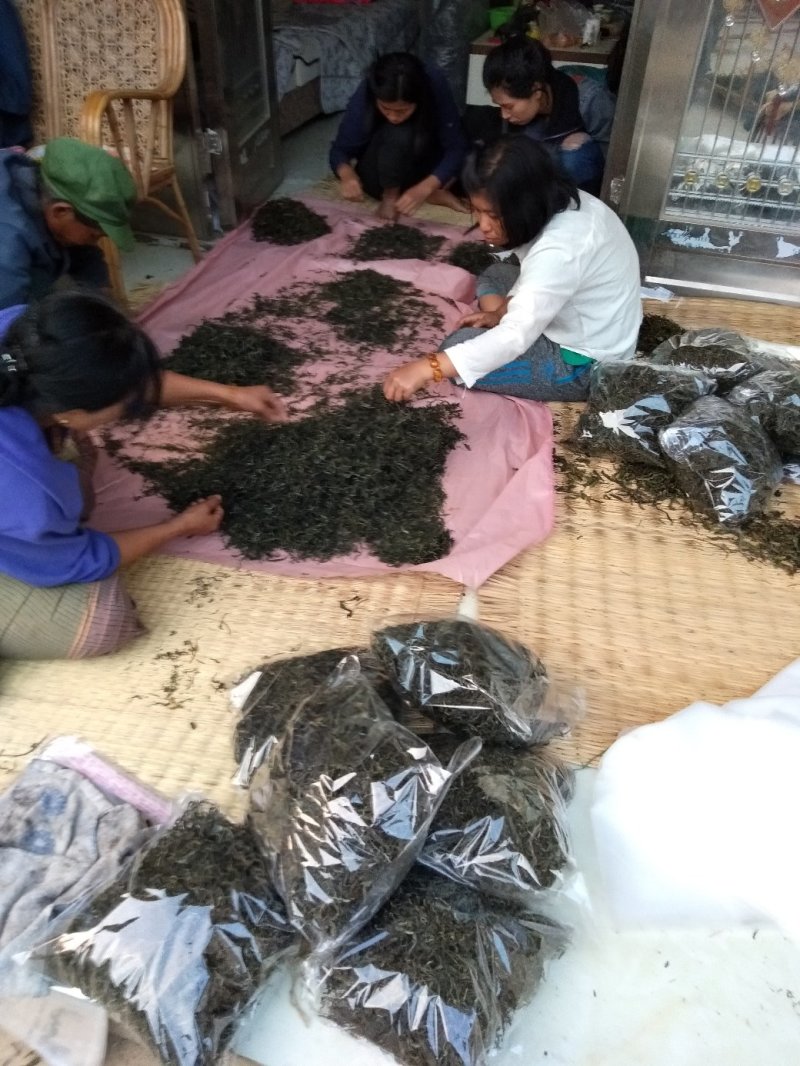 梅子箐生态古树普洱茶口感回味甘甜