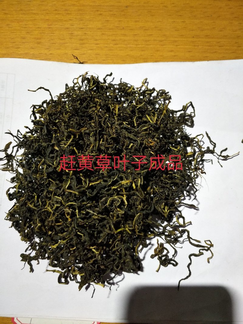赶黄草