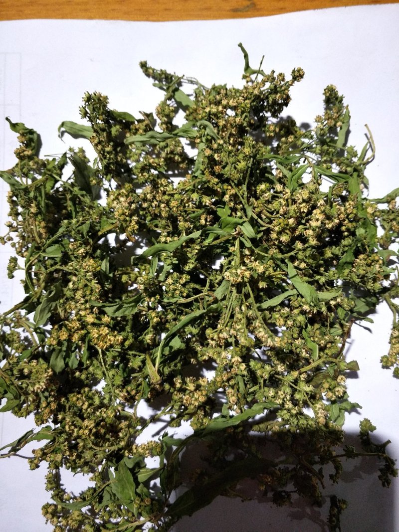 赶黄草花花