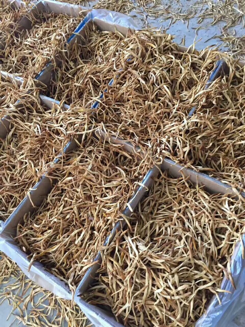 无硫黄花菜，直条黄花菜，针金菜一箱20斤
