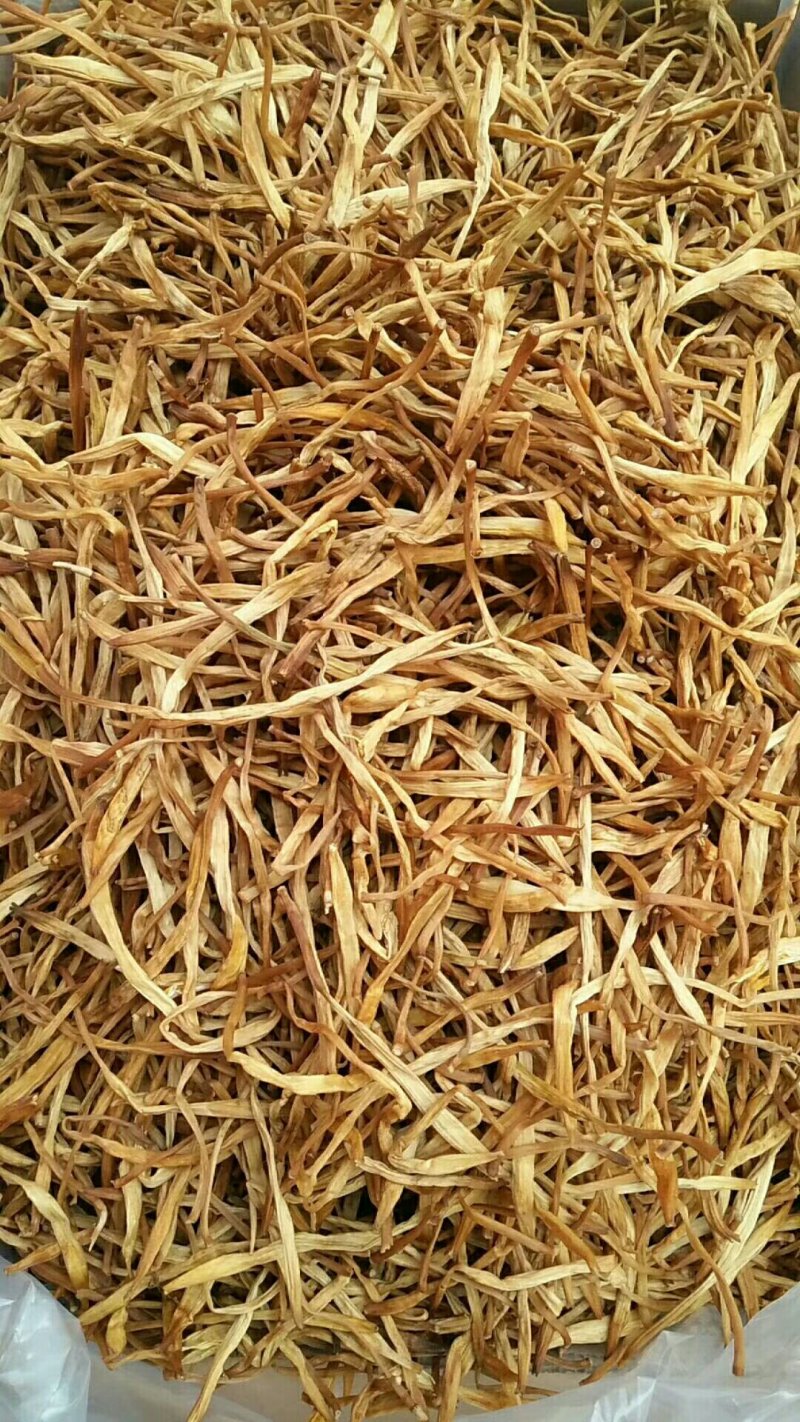 无硫黄花菜，直条黄花菜，针金菜一箱20斤