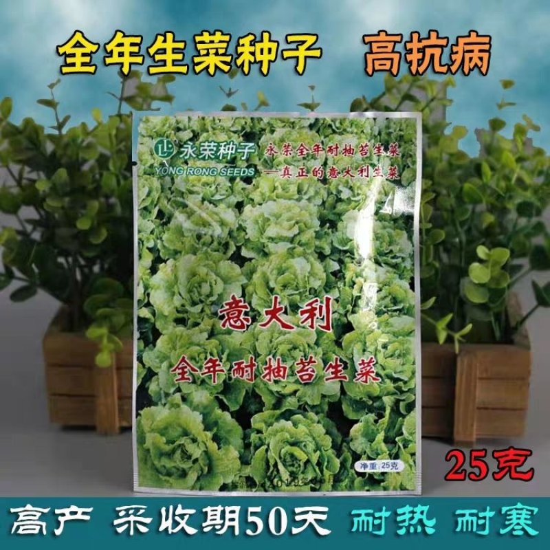 福州永荣意大利生菜种子耐抽苔抗热耐寒高产大田用种全年可种