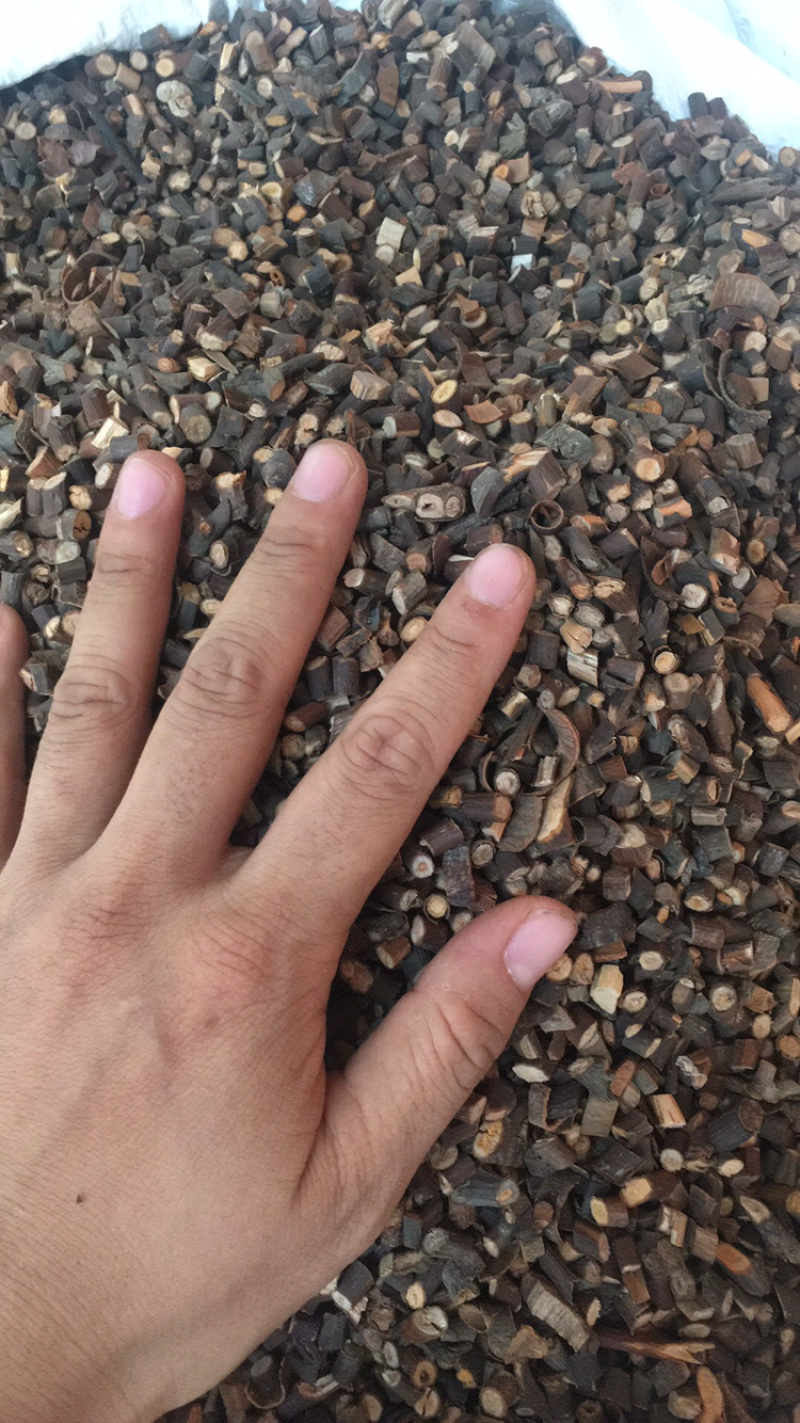 桂枝各种规格量大包邮