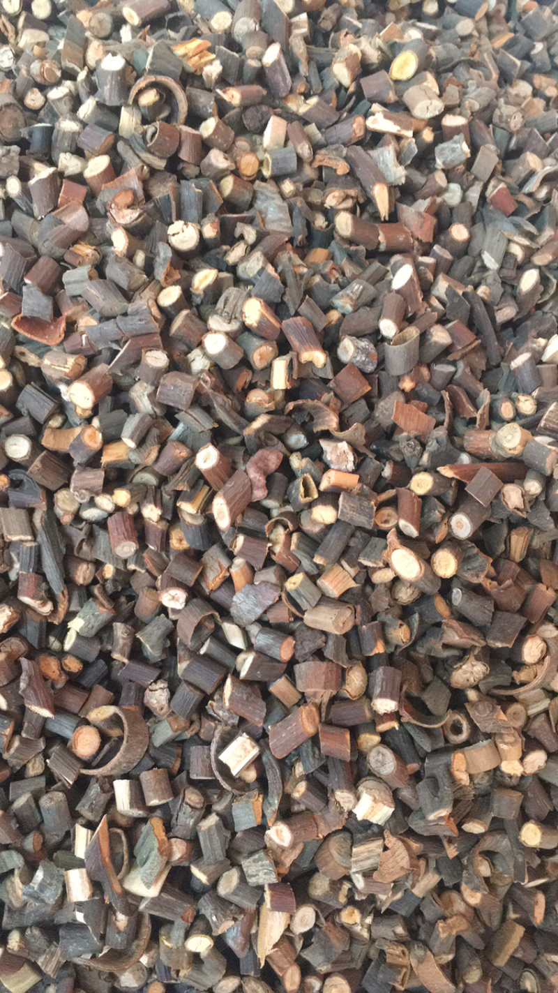 桂枝各种规格量大包邮