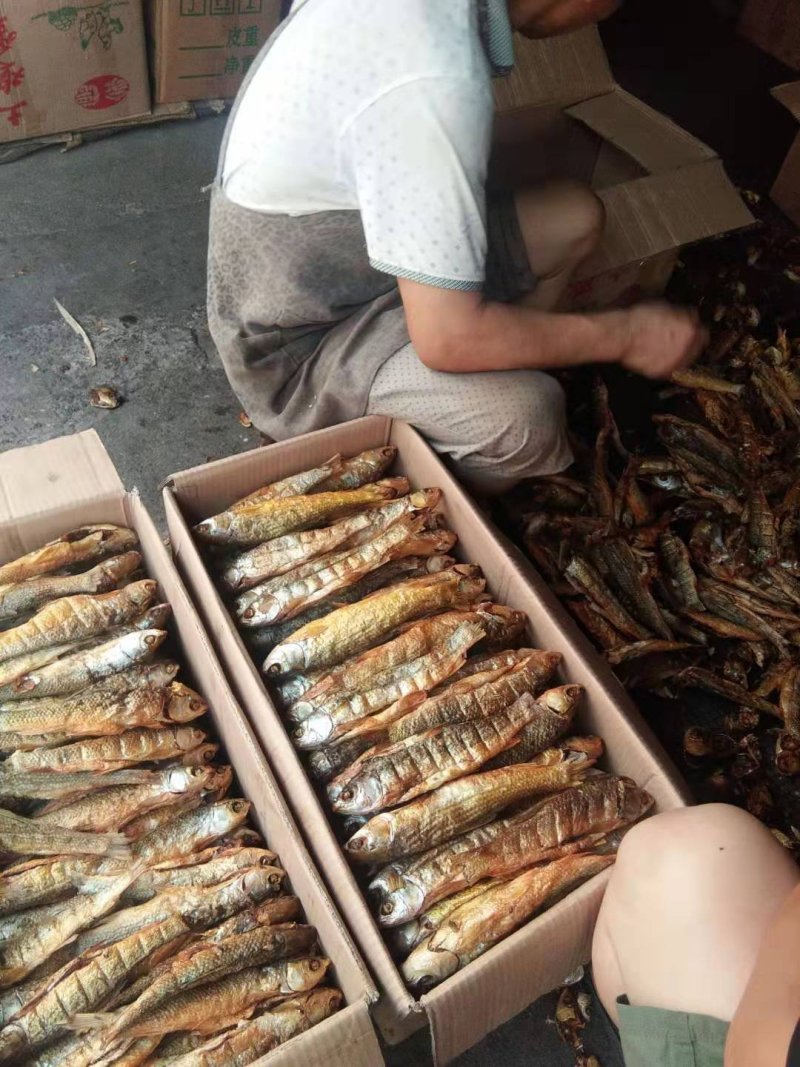 鱼干，品相好鱼干刁子鱼，火焙鱼，餐条鱼品质破肚