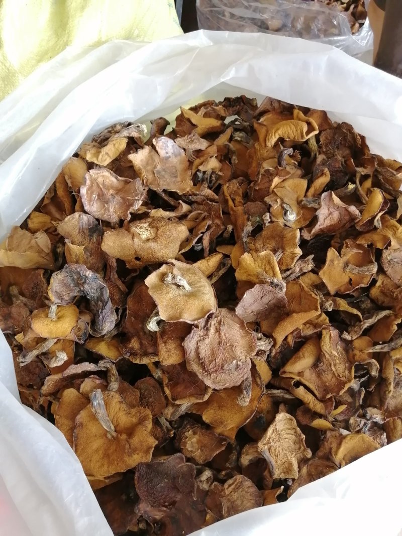 大量出售红蘑干