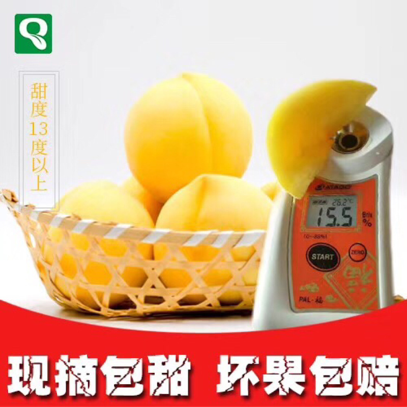 炎陵黄桃精品果1⃣️件代发