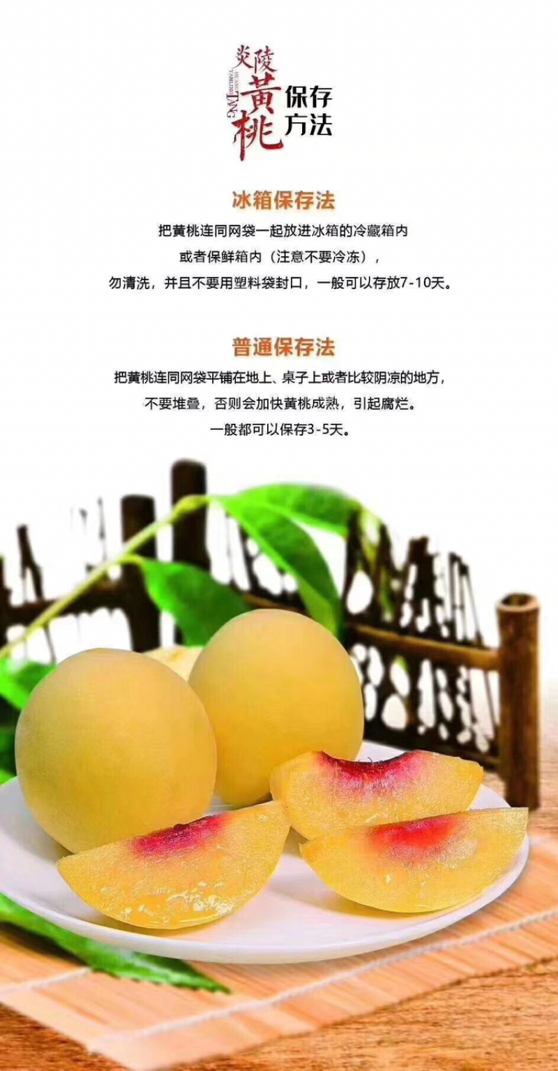 炎陵黄桃精品果1⃣️件代发