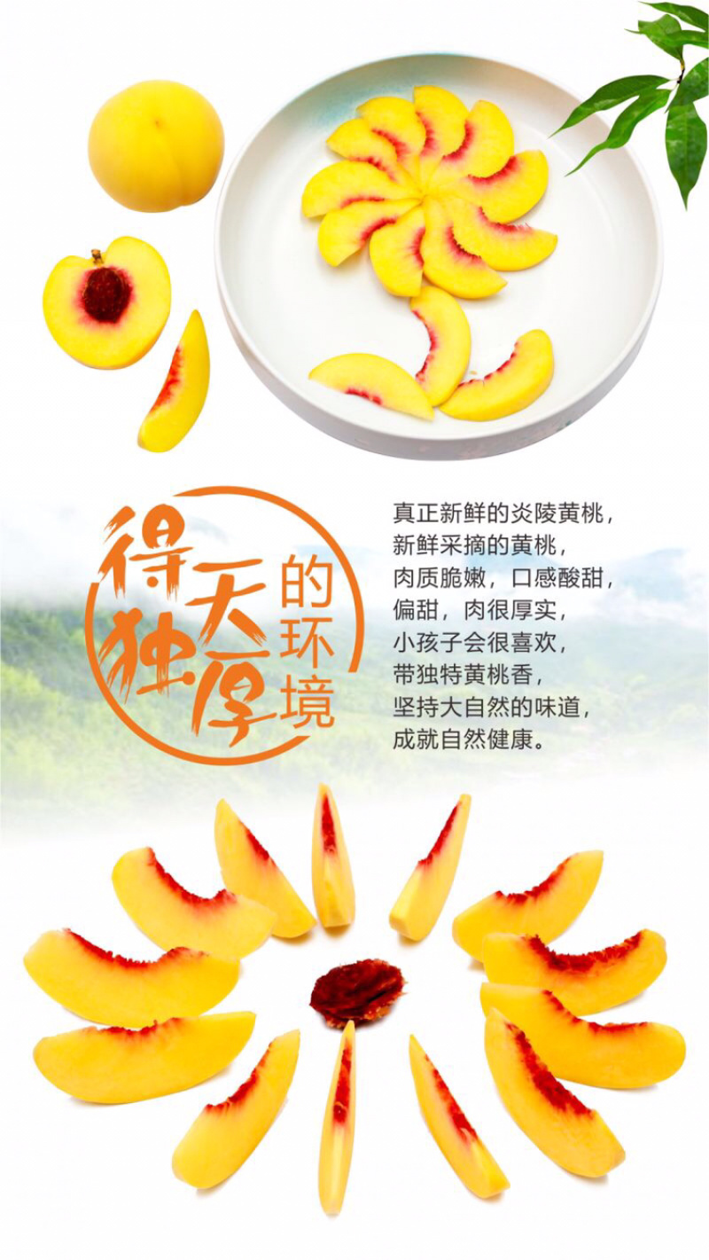 炎陵黄桃精品果1⃣️件代发