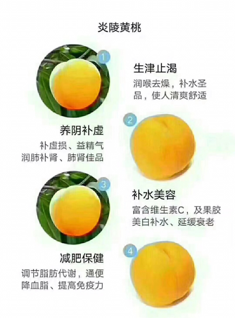 炎陵黄桃精品果1⃣️件代发