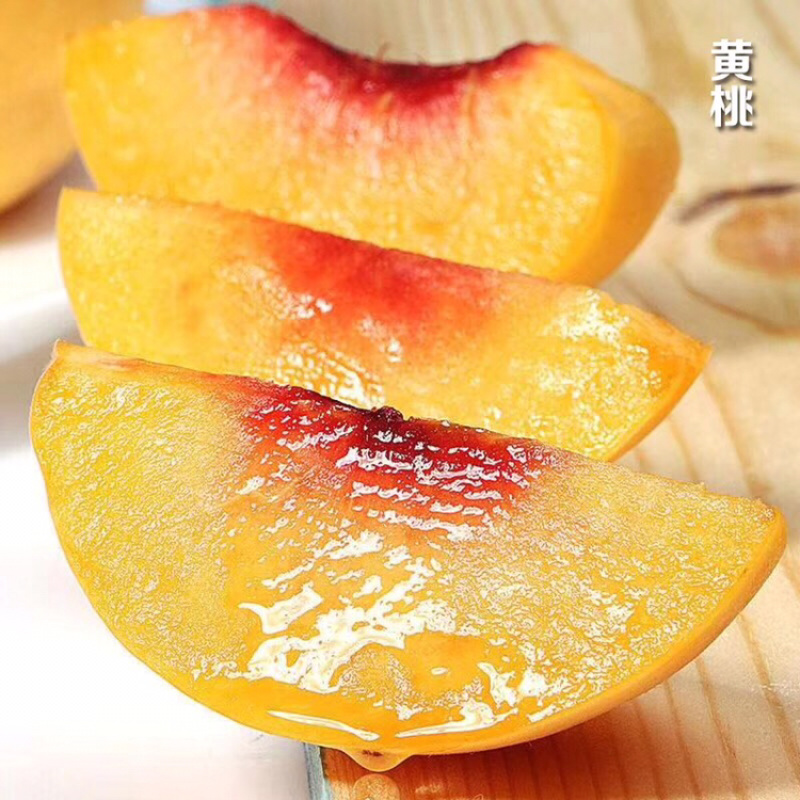 炎陵黄桃精品果1⃣️件代发