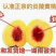 炎陵黄桃精品果1⃣️件代发