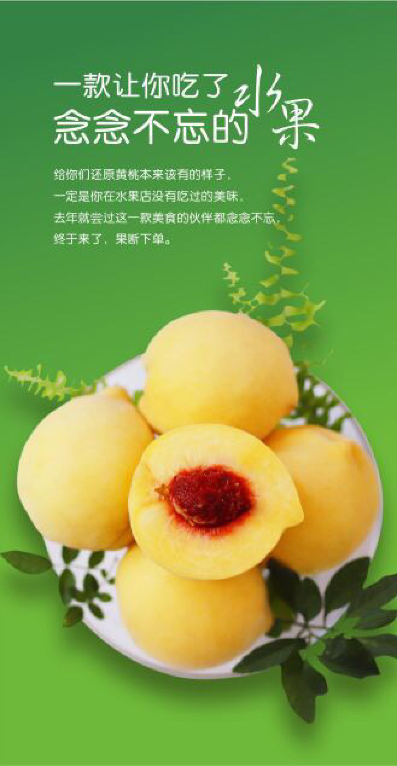 炎陵黄桃10斤装包邮一件代发