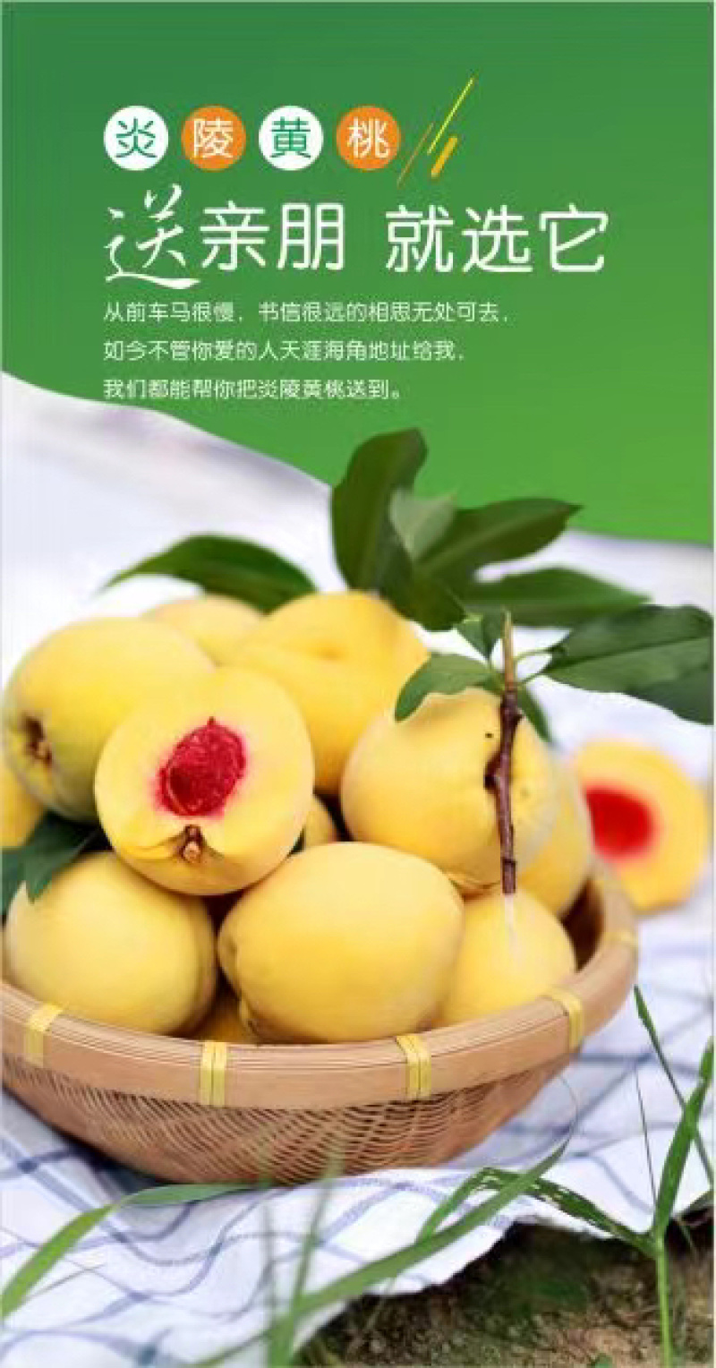 炎陵黄桃10斤装包邮一件代发