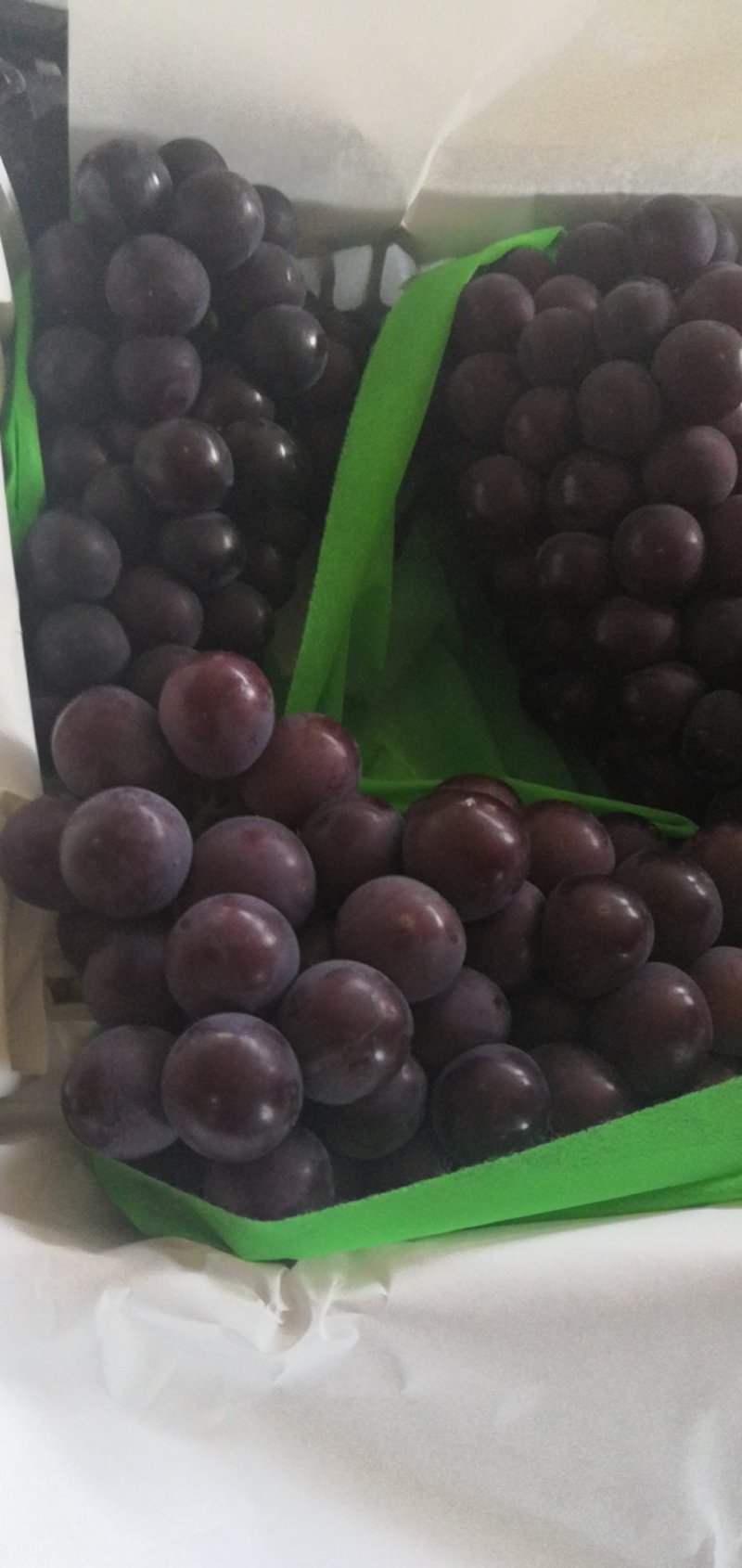 陕西宝鸡巨峰开始，口感串形精品，货源稳定，量大，货源聚集