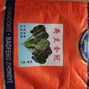 荷兰金冠菠菜种子叶色深绿叶肉厚耐抽苔产量高